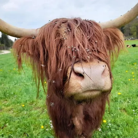 Apartament Ferien Auf Dem Bauernhof